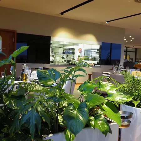 Mg Restaurace/luxury Apartament Mladá Boleslav